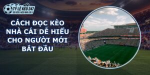 Đọc Kèo Nhà Cái