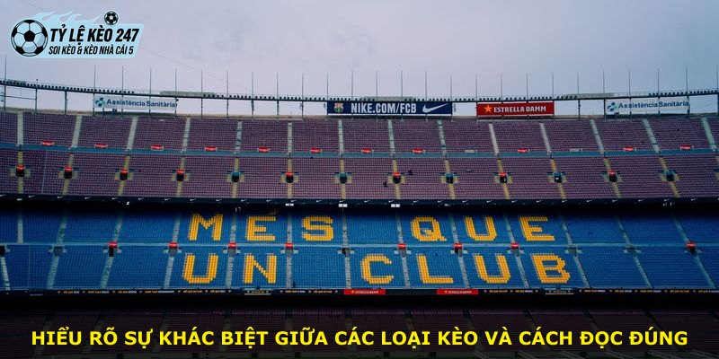 Hiểu rõ sự khác biệt giữa các loại kèo và cách đọc đúng