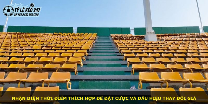 Nhận diện thời điểm thích hợp để đặt cược và dấu hiệu thay đổi giá