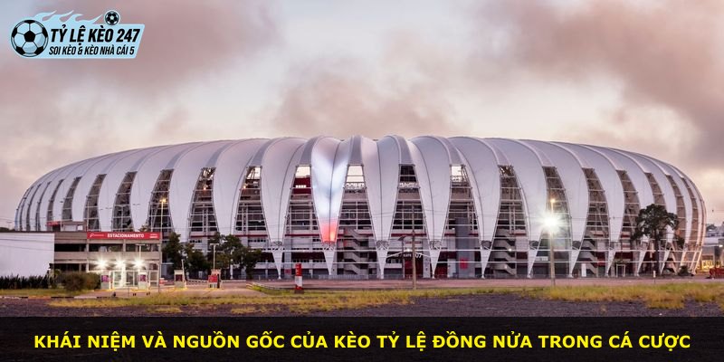 Khái niệm và nguồn gốc của kèo tỷ lệ Đồng Nửa trong cá cược