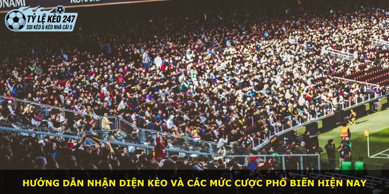 Hướng dẫn nhận diện kèo và các mức cược phổ biến hiện nay