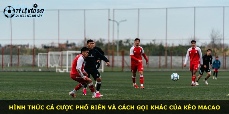 Hình thức cá cược phổ biến và cách gọi khác của Kèo Macao