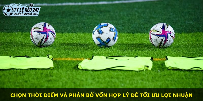 Chọn thời điểm và phân bổ vốn hợp lý để tối ưu lợi nhuận