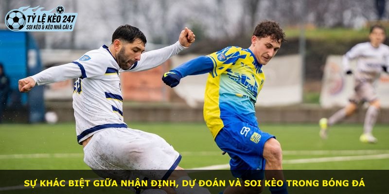 Sự khác biệt giữa nhận định, dự đoán và soi kèo trong bóng đá