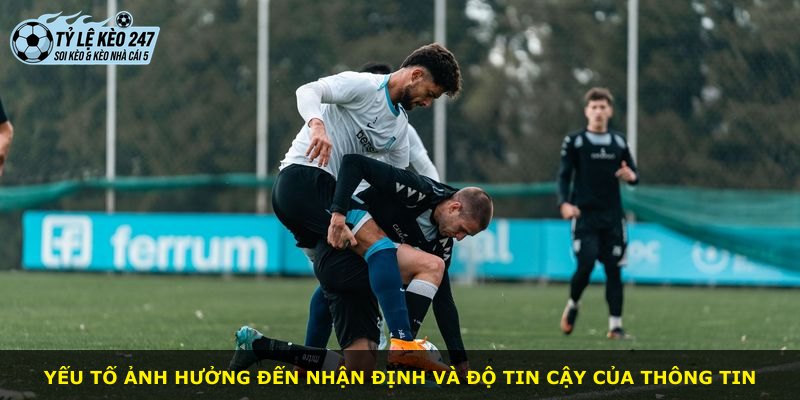 Yếu tố ảnh hưởng đến nhận định và độ tin cậy của thông tin