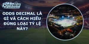 Odds Decimal Là Gì
