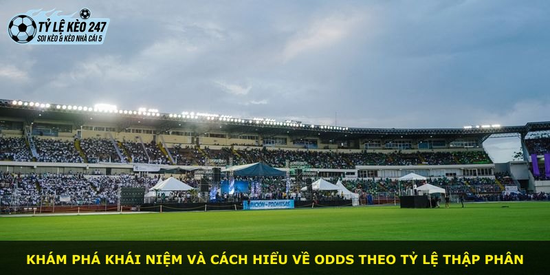 Khám phá khái niệm và cách hiểu về odds theo tỷ lệ thập phân