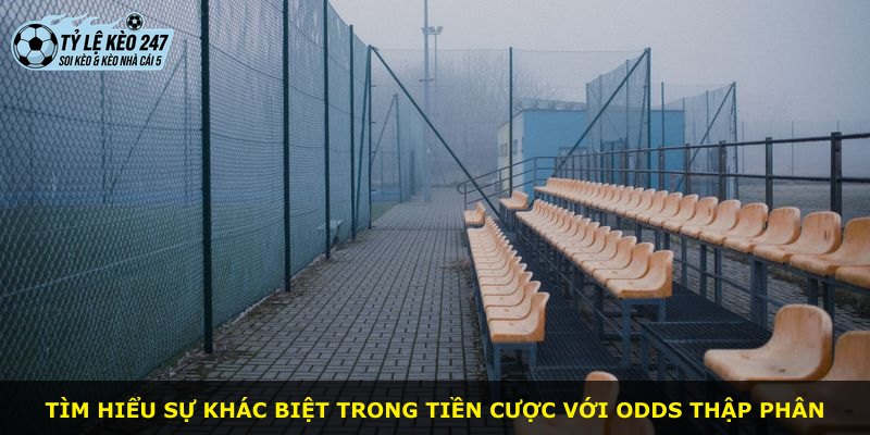 Tìm hiểu sự khác biệt trong tiền cược với odds thập phân