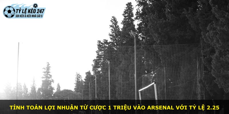 Tính toán lợi nhuận từ cược 1 triệu vào Arsenal với tỷ lệ 2.25