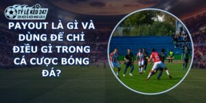 Payout Là Gì