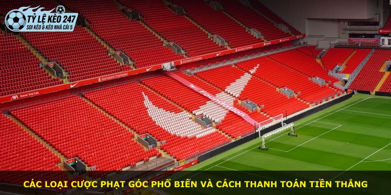 Các loại cược phạt góc phổ biến và cách thanh toán tiền thắng