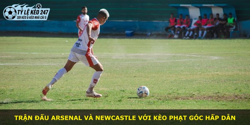 Trận đấu Arsenal và Newcastle với kèo phạt góc hấp dẫn