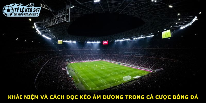 Khái niệm và cách đọc kèo Âm Dương trong cá cược bóng đá
